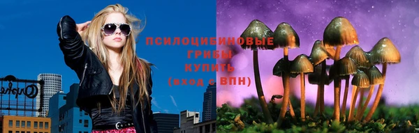 шишки Горнозаводск
