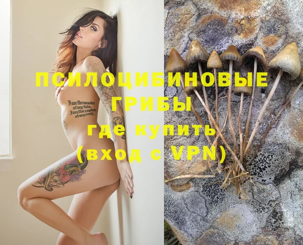 шишки Горнозаводск
