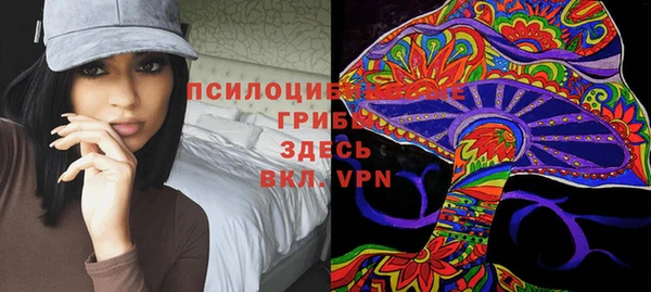 прущий лед Вязники