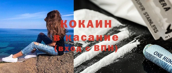 ешки Вяземский