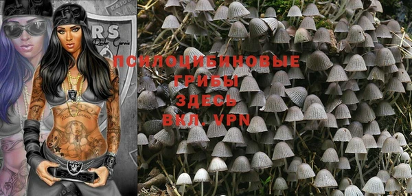 ешки Вяземский