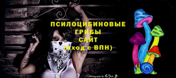ешки Вяземский